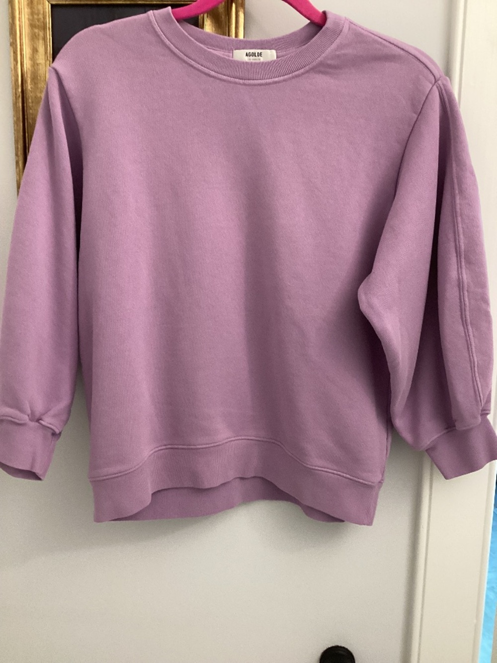 AGOLDE Thora 3/4 Sleeve Sweatshirt